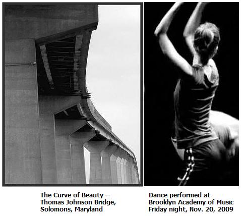 The Curve of Beauty