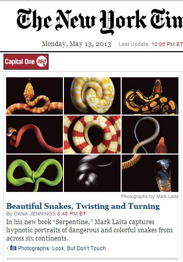 IMAGE- A 3x3 array of snakes, top center of NY Times online front page