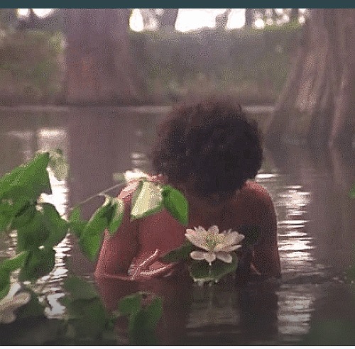 Adrienne Barbeau in 'Swamp Thing'