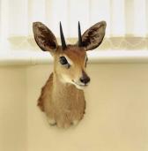 Talk: Adam Broomberg and Oliver Chanarin